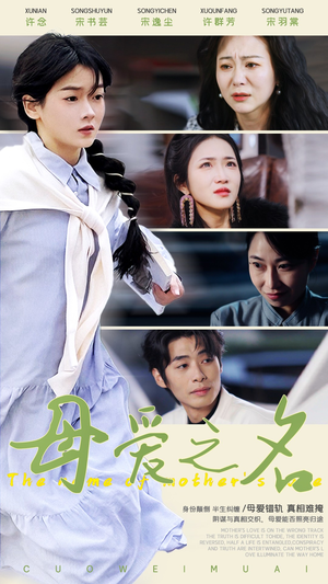 母爱之名（70集） 全季一次看完