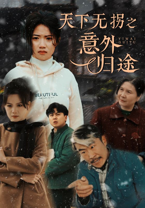 天下无拐之意外归途（61集） 免费在线看