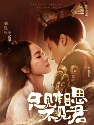 只见相思不见君（82集） 一起追短剧