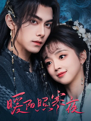 暖阳照寒夜（68集） 免费短剧完整版