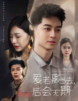 爱若离去，后会无期（70集）免费观看完整版