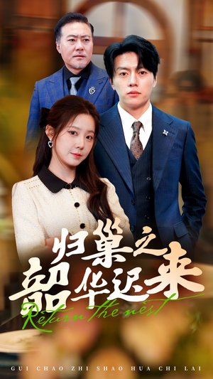 归巢之韶华迟来（62集） 在哪里可以看