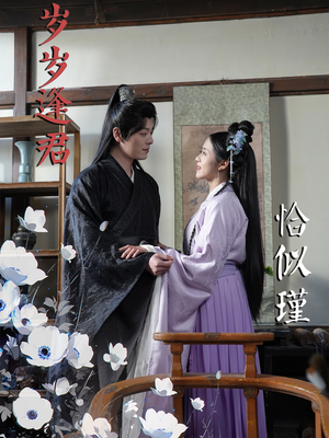 岁岁逢君恰似瑾（100集） 恋爱短剧分享