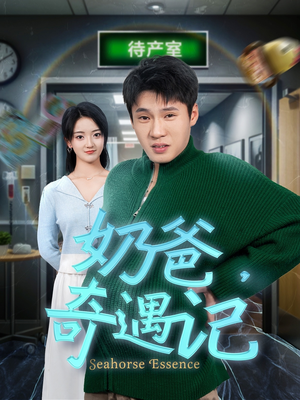 奶爸奇遇记（60集） 免费版