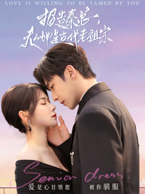 报告秦总，夫人她是古代老祖宗（65集） 最新火爆短剧