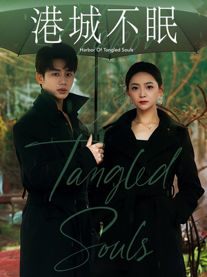 港城不眠（87集） 百度网盘资源