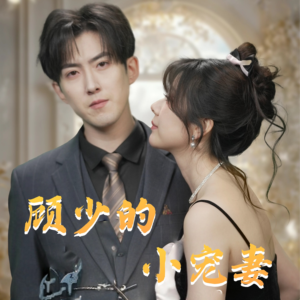 顾少的小宠妻（90集）短剧免费看