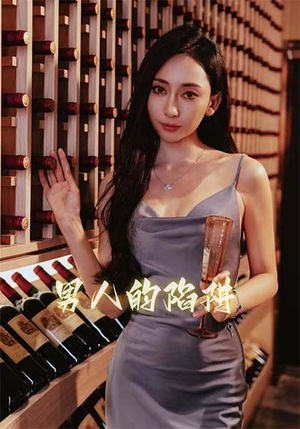 男人的陷阱（33集）短剧介绍