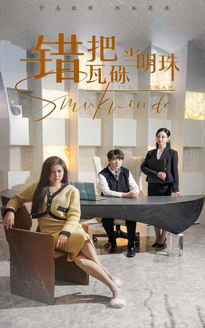 错把瓦砾当明珠（55集） 免费看全集