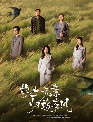 故土无亲归途有风（31集） 免费观看完整版