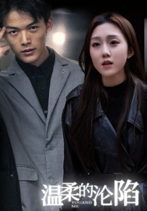 温柔的沦陷（67集）在线看