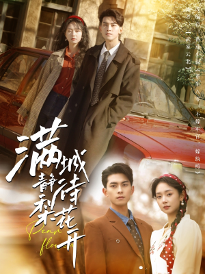 满城静待梨花开（100集）短剧小说在线看