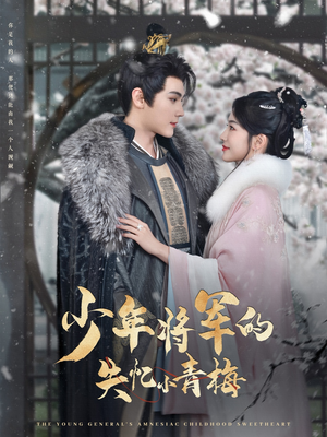 少年将军的失忆小青梅（100集）短剧太精彩了
