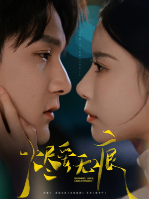 烬爱无痕（92集）免费看