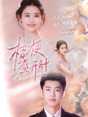 桔梗盛开时（92集）短剧也太好看了