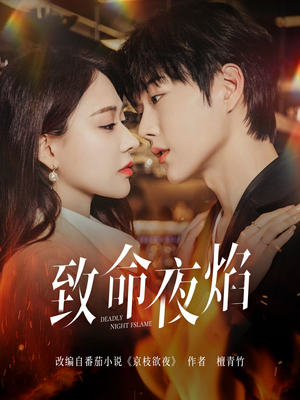 致命夜焰（80集）免费短剧大全