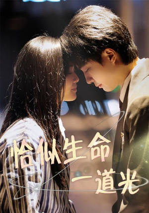 恰似生命一道光（60集） 无需会员免费看