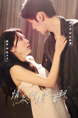 情久何须叹暮朝（61集） 热播短剧全集看