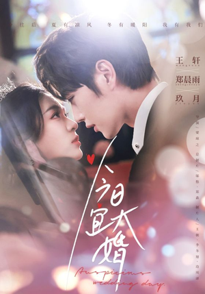 今日宜大婚（59集） 最新短剧推荐