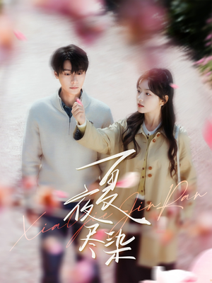 夏夜尽染（80集） 在哪看