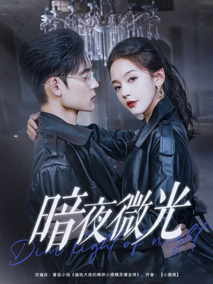 暗夜微光(86集) 暗夜微光(86集)更新时间一览表