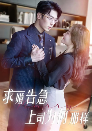 求婚告急上司为何那样（70集） 好看到停不下来