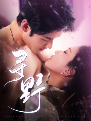 寻野（100集）不用花钱看全剧