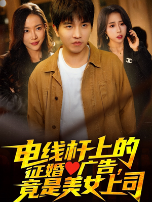 电线杆上的征婚广告，竟是美女上司（90集）在哪看
