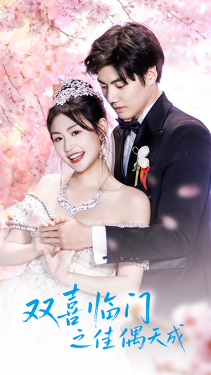 双喜临门之佳偶天成（42集）热播短剧免费看