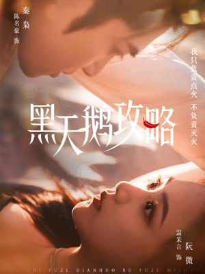 黑天鹅攻略（65集）热门短剧看不停