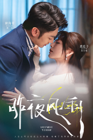 昨夜风雨（63集）热播短剧推荐