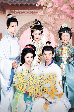 蔷薇花谢即归来（61集）高分推荐免费看