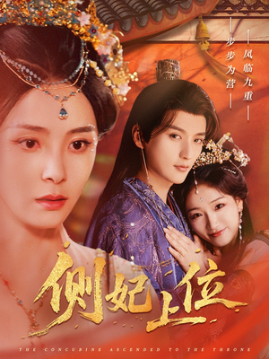 侧妃上位（80集）全集在线看