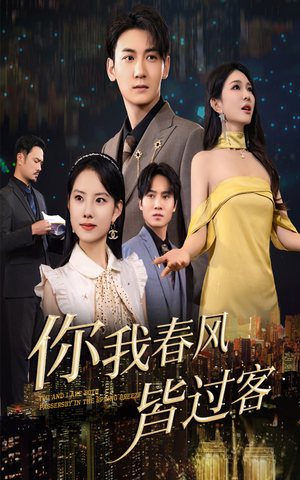 你我春风皆过客（58集）热播短剧分享