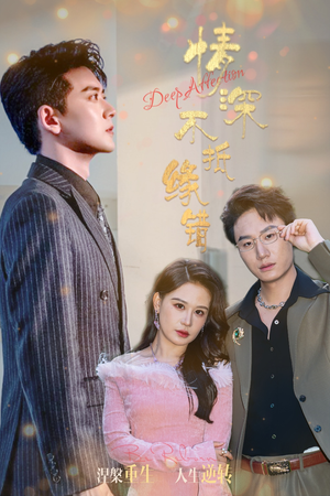 情深不抵缘错（60集）在哪里看