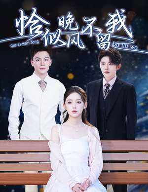 恰似晚风不留我（51集）短剧推荐分享