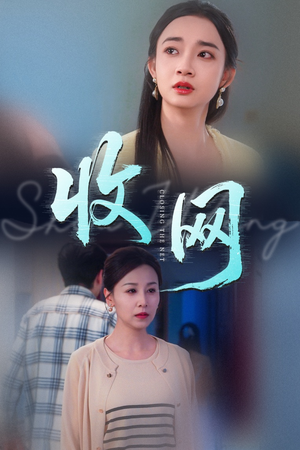 收网（60集）看过的人都说好