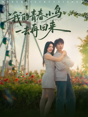 我的青春小鸟一去再回来（95集）评价怎么样