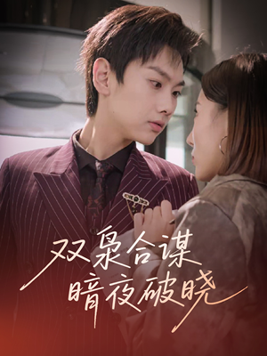双枭合谋暗夜破晓(30集) 双枭合谋暗夜破晓(30集)一起追短剧吧
