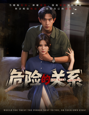 危险的关系（55集）精彩好看短剧