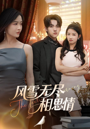风雪无尽相思情（61集）怎么看全集