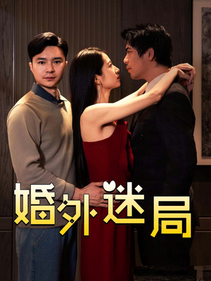 婚外迷局（28集）免费在线看全集