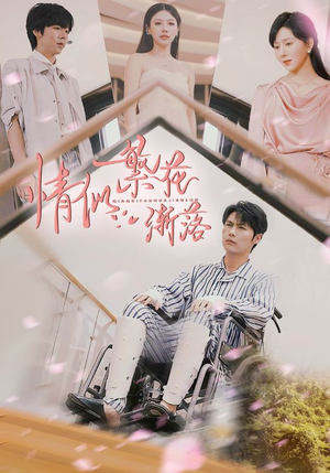 情似繁花渐落（62集）短剧介绍