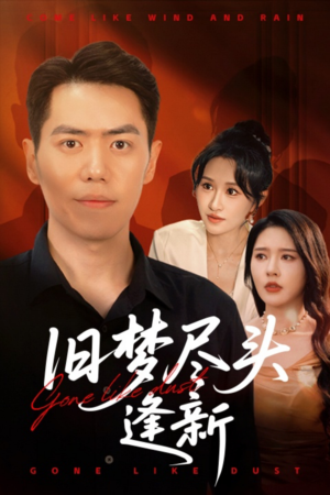 旧梦尽头逢新（46集）热播短剧追不停