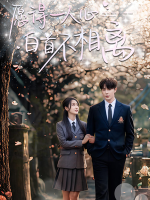 愿得一人心白首不相离（80集）短剧在线更新