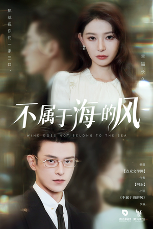 不属于海的风（40集）观看软件