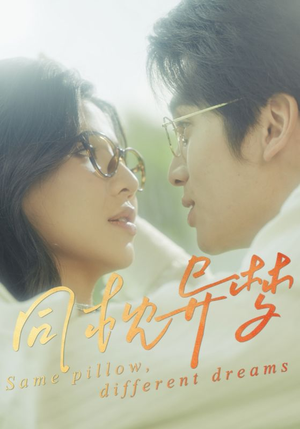 同枕异梦（50集）好看的国产短剧