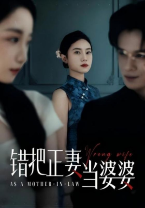 错把正妻当婆婆（46集）剧好看短剧推荐