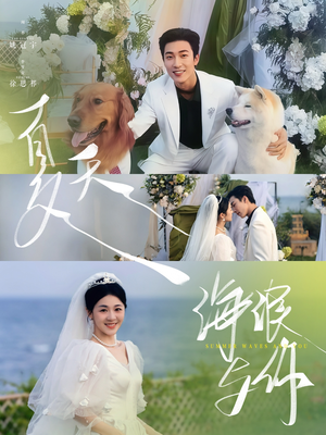 夏天，海浪与你（76集）精彩好看短剧