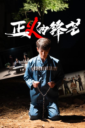 zheng正义的锋芒（64集）经典老剧免费看